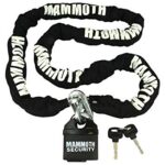 mammoth b